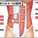 腹筋インナーマッスル胸式呼吸