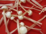 enoki_1