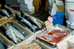 fishshop
