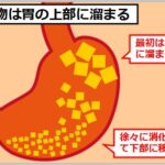 食後寝る向き