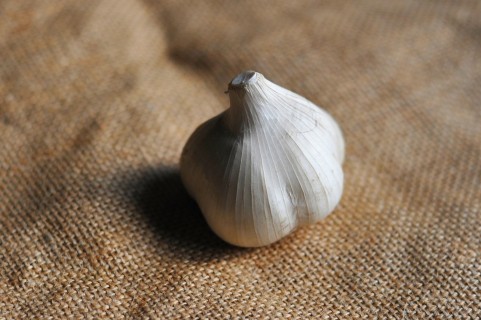 garlic_natural