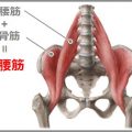 腸腰筋ストレッチで腰痛が改善するメカニズム