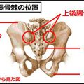 腰痛の真犯人「仙腸関節」を自分で治す方法