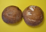 mushroom