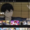 Netflixで大人向けアニメを探せる隠しコマンド