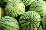 water_melon